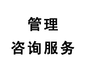 管理咨詢服務